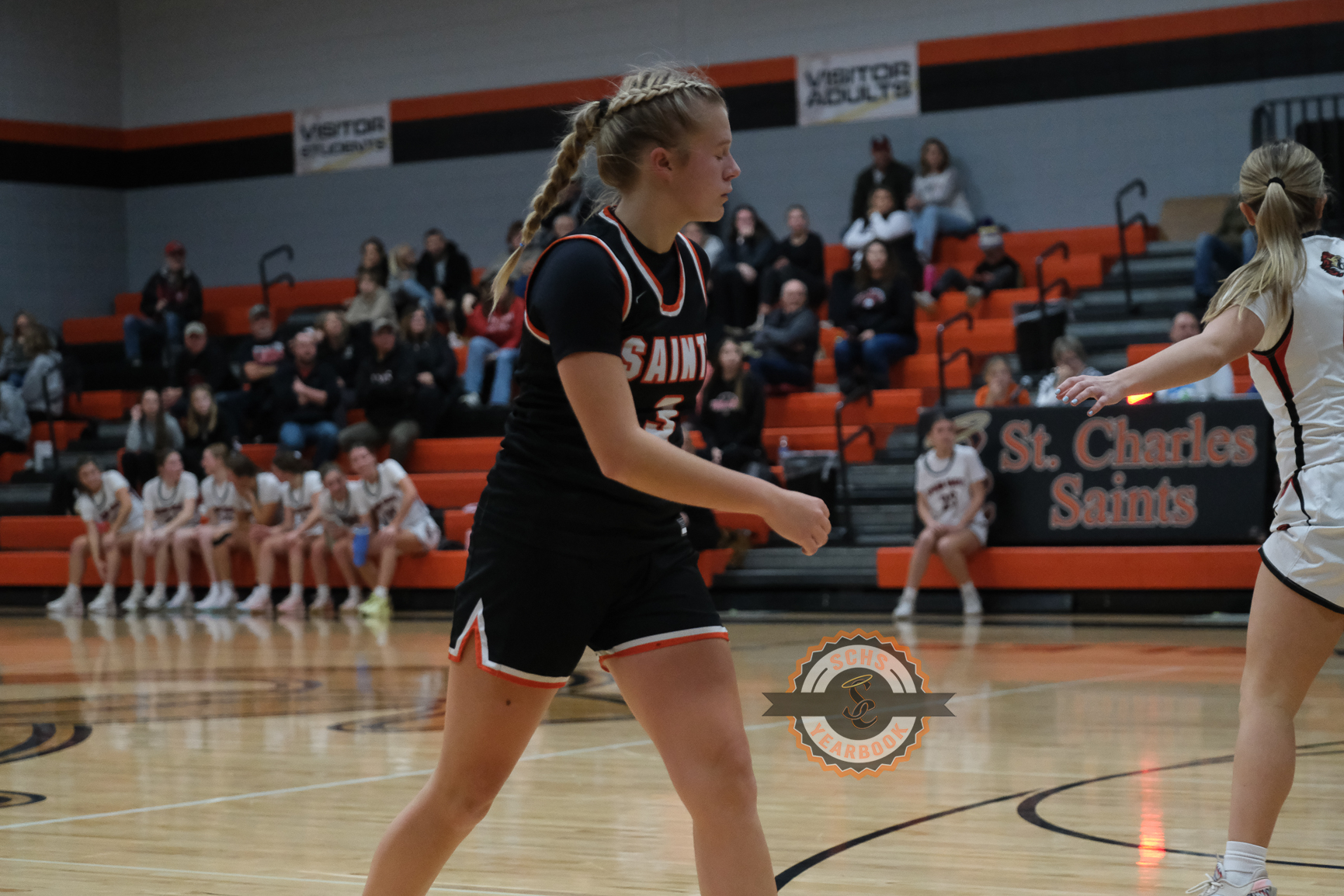 Wabasha-Kellog Falcons vs. St.Charles Saints