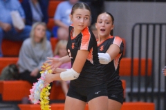Saints vs. Fillmore